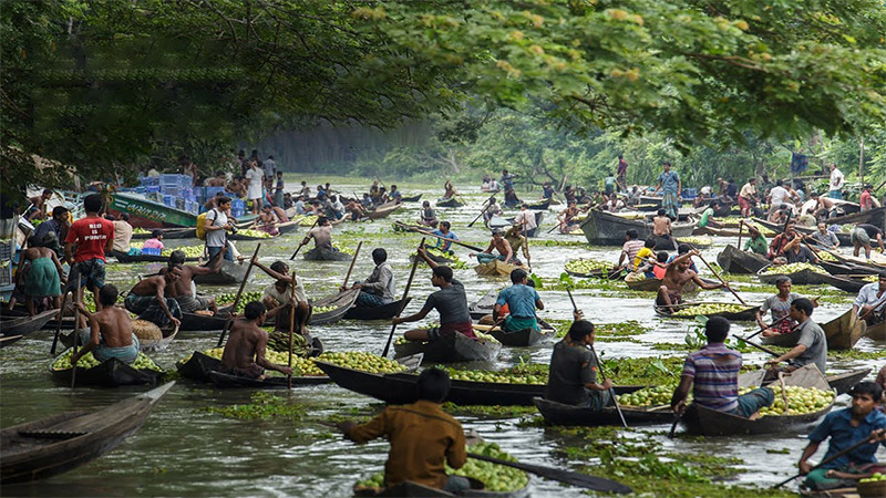 Barisal Floating Guava Market